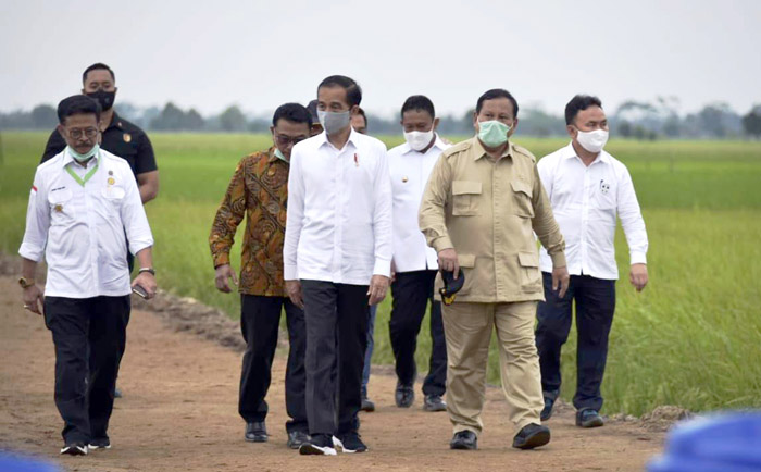 Food Estate Kalteng, Presiden Jokowi Didampingi Mentan Tinjau Kapuas