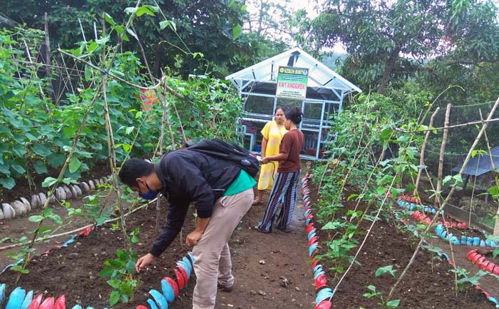 Mentan Inisiasi P2L, Penyuluh Pertanian Selayar Sosialisasi Lapangan