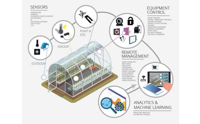 Pusdiktan BPPSDMP Dorong Polbangtan Terapkan `Design Smart of Greenhouse` 