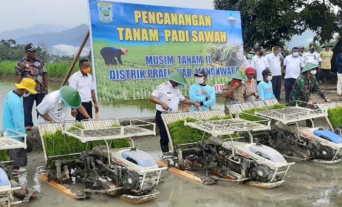 Gubernur Apresiasi, Penyuluh Papua Barat Kawal Petani Percepat Tanam 