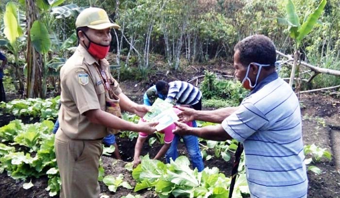 Dirikan Poktan, Inisiasi Mama Papua Didampingi Penyuluh Jayapura