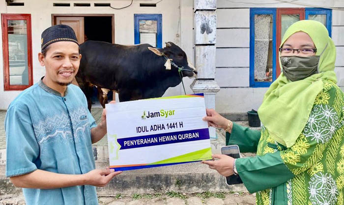 23 ekor Sapi, Jamsyar Salurkan Hewan Kurban Idul Adha 1441 H