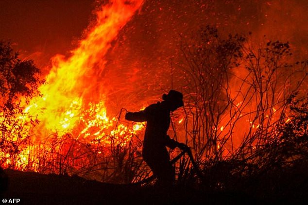 Waspadai Puncak `Hotspot` September 2020 meski Tren Karhutla Turun