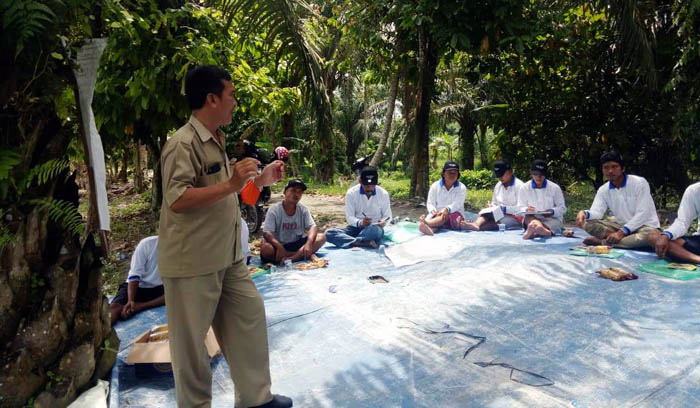 IPDMIP Fasilitasi Sekolah Lapang KostraTani Asahan