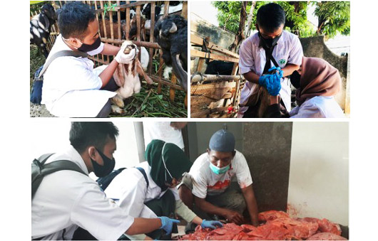 Tangkal Pandemi, Mahasiswa Polbangtan PKL di BPP KostraTani Ragunan