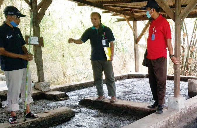 Biosains, Kiat Polbangtan Manokwari Tekan Ketergantungan Pupuk Kimia