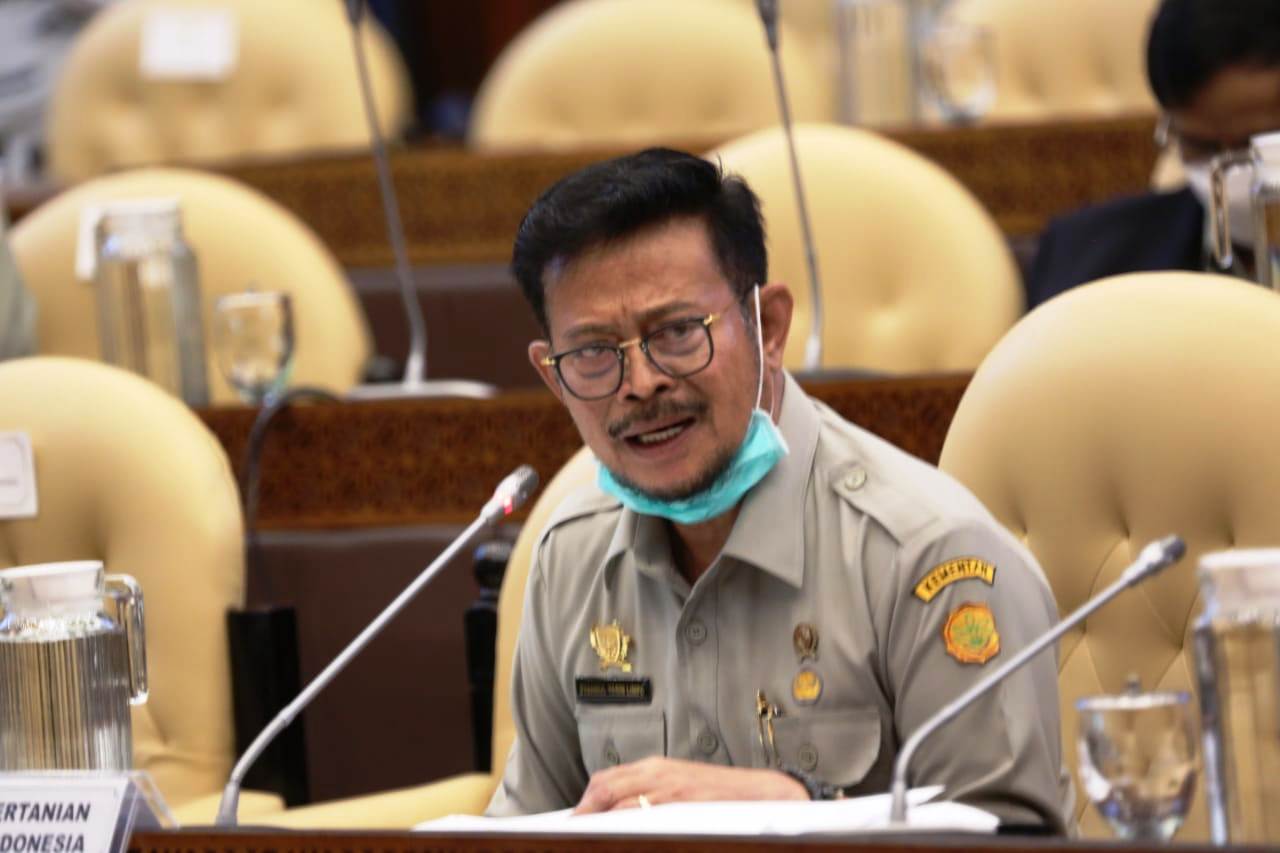 Rp21,83 Triliun, Anggaran Kementan 2021 Disetujui DPR RI