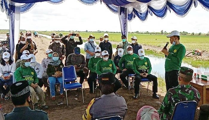 Kementan: Food Estate Kalteng sebagai `Kiblat` Lumbung Pangan