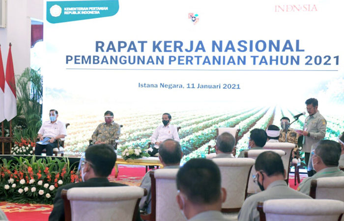 Perkuat Sektor Pertanian dengan Skala Ekonomi dan Teknologi