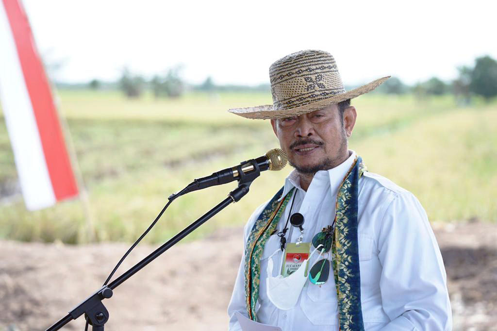 Mentan Ingatkan Hati-hati, Kembangkan Pertanian di Lahan Gambut