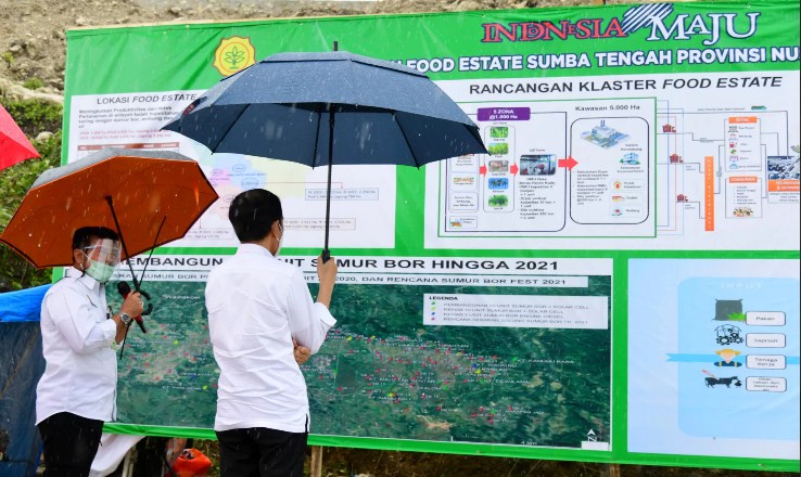 Skala Ekonomi, Pengembangan `Food Estate` Sumba Terbagi Lima Zona