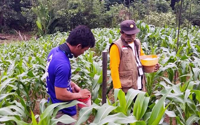 Millennial Farmers are the Target of Developing Indonesian Agricultural HR.