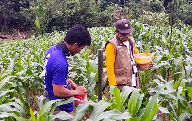 Petani Milenial Tentukan Sukses Pembangunan Pertanian Nasional