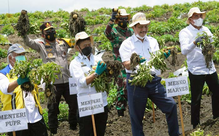 Apresiasi Mentan, Kemajuan Food Estate Humbahas Diakui Menko Luhut