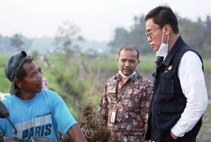 Kementan Ajak BPP Pandak - Bantul Kembangkan Bawang dan Domba