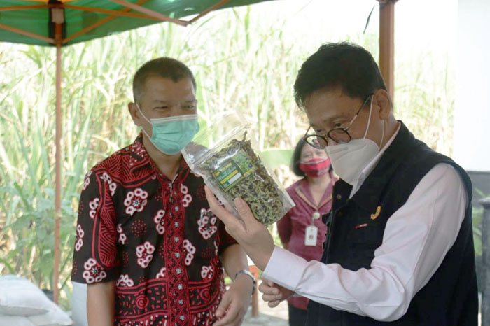 Kementan Serukan Kulon Progo Tingkatkan Produktivitas Pertanian