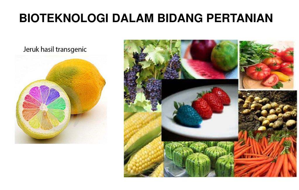 Komersialisasi Produk Biotek di Indonesia Sudah di Depan Mata