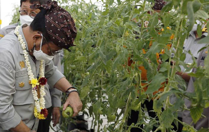 Petani Milenial, Kementan Gandeng Himbara dan BUMN Dukung DPM/DPA