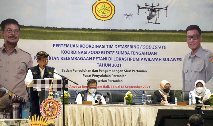 SDM Pertanian Penentu Sukses `Food Estate` Genjot Produktivitas Pangan