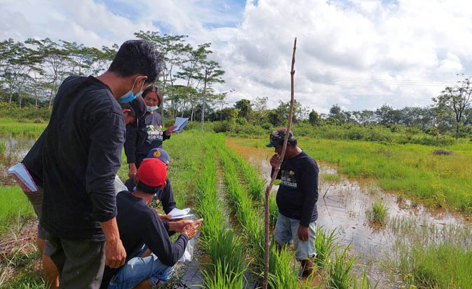 Berita Foto BBPP Binuang Dukung Program Super Prioritas Kementan