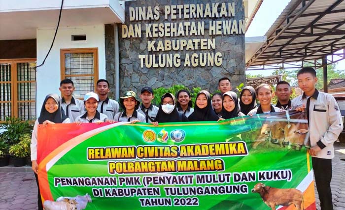 Mahasiswa Polbangtan Malang Dukung Vaksinasi PMK di Tulungagung