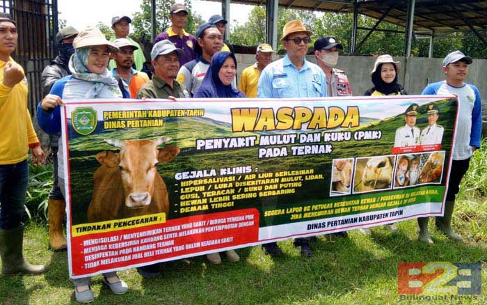 Vaksinasi Ternak, BBPP Kementan di Kalimantan Aktif Tangkal Wabah PMK