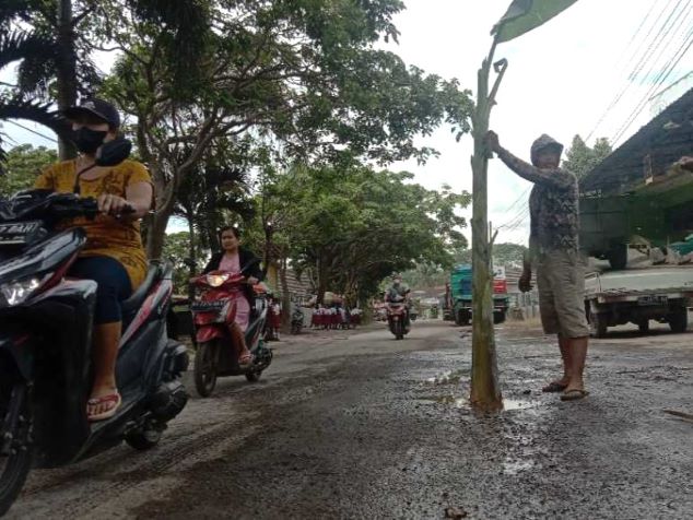 Bentuk Protes Jalan Rusak, Warga Tanami Pohon Pisang di Jalan Ngembul Blitar