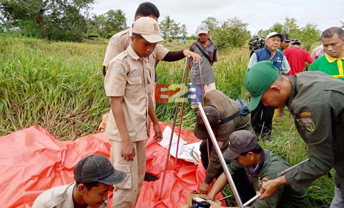 "Produksi Melimpah." Perhiptani, FKP4S dan KTNA Tolak Impor Beras