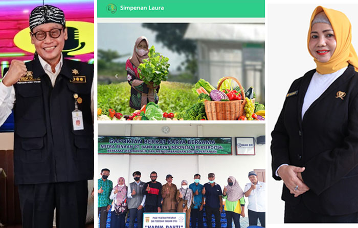 Indonesia Binuang`s Agricultural Training Center Support Farmers Using the Marketplace