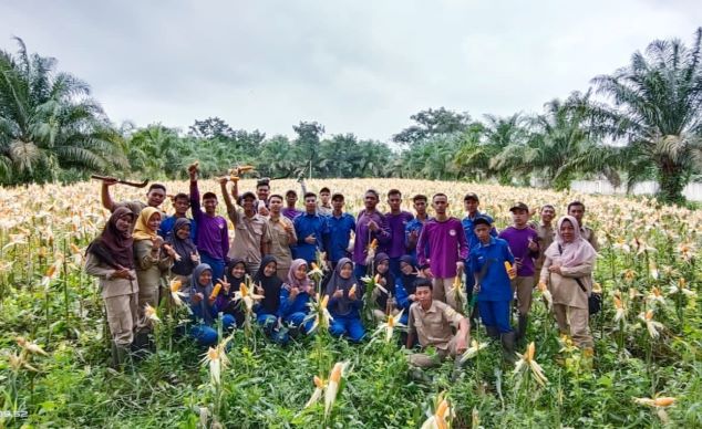 Dukung Kemandirian Pangan, SMKPP Kementan Ajak Siswa Terapkan Integrate Farming System