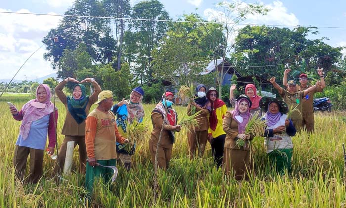 Kementan Dorong Petani Meningkatkan Produktivitas Padi melalui IP 200