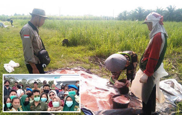 Magang PTPN II, Mahasiswa Polbangtan Kementan Pelajari Komoditas Tebu