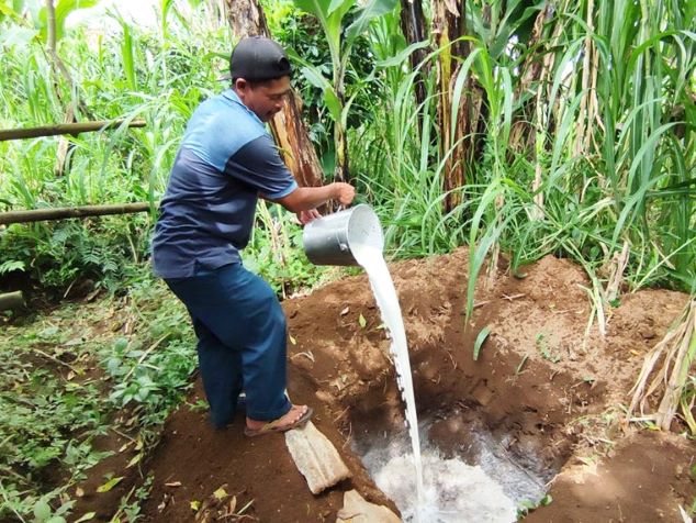 Bergejala PMK, Ratusan Liter Susu Sapi Dibuang