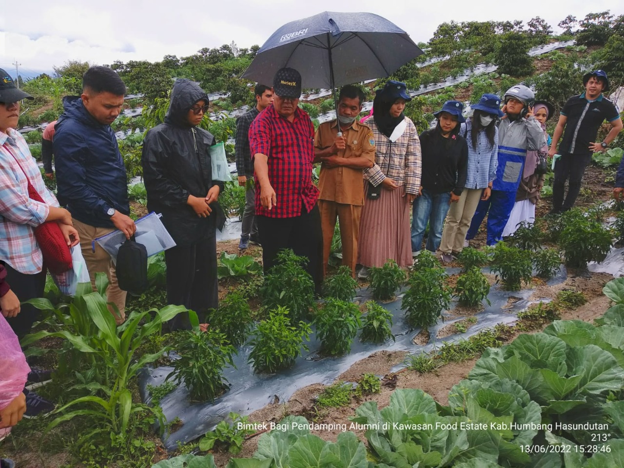Kementan Tingkatkan Kapasitas Pendamping Petani Food Estate Humbahas