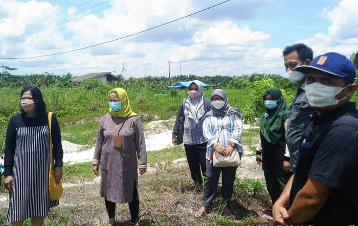 Balittra Gandeng BBPP Binuang Kelola Kebun Percobaan bagi Milenial Kalsel