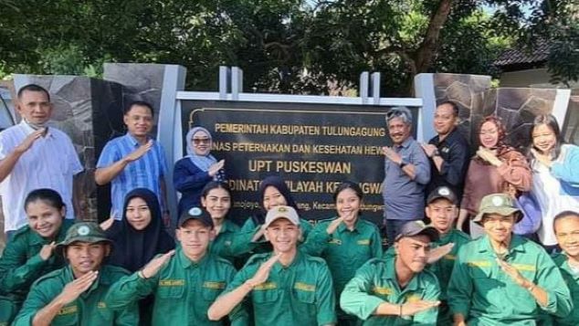 Mahasiswa Polbangtan Malang Vaksinasi Sapi di Tulungagung Tanggulangi PMK