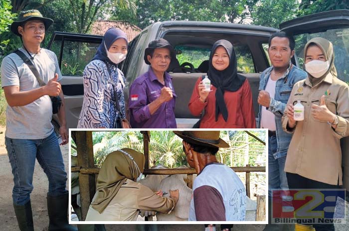 SMKPPN Kementan lakukan Pendampingan Vaksinasi PMK di Banyuasin Sumsel