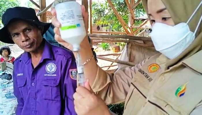Dedi Nursyamsi: Kementan lakukan Pendampingan Vaksinasi PMK di Banyuasin