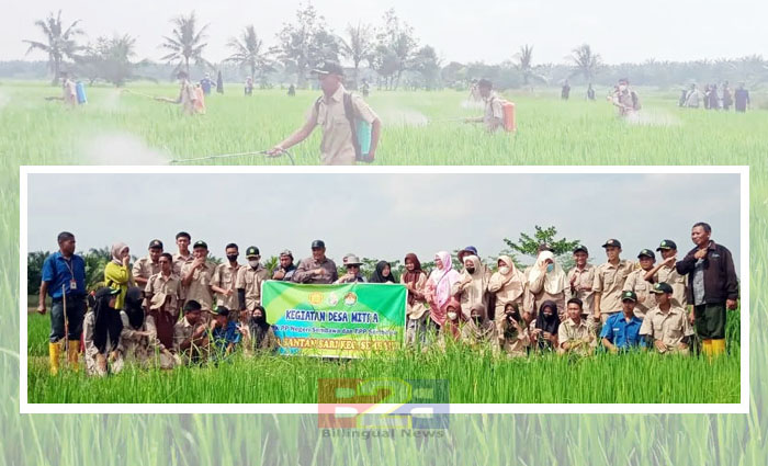 Siswa SMKPPN Kementan Kawal Kendali OPT Desa Mitra di Banyuasin