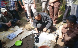 Millennial Farmers Development the Target of Indonesia`s Polbangtan Bogor
