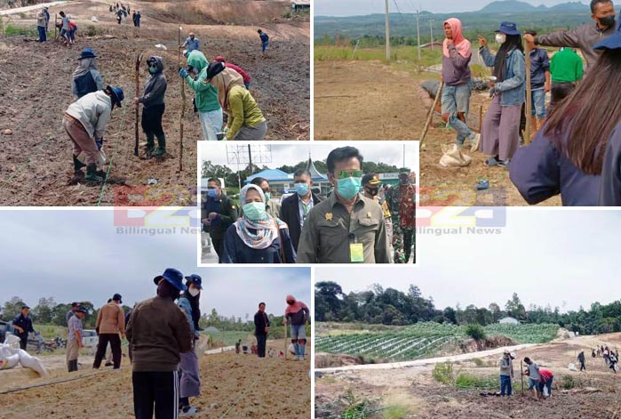 Bupati Humbahas: "Ayo Bangun Food Estate, Anggaran Bukan Halangan" 