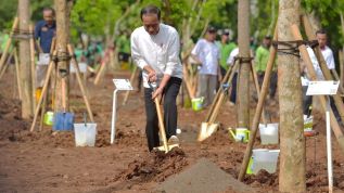Antisipasi Perubahan Iklim, Presiden Jokowi Tanam Pohon di Pulogadung