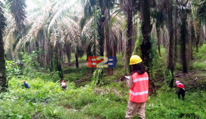 Gandeng Mitra DuDi, SMKPP Kementan Pertajam Kompetensi Mandor Sawit