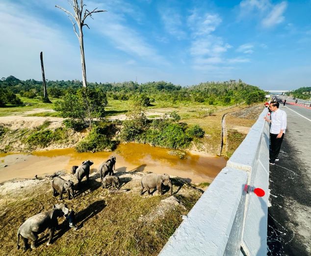 Presiden Jokowi Dorong Pembangunan Infrastruktur Ramah Lingkungan