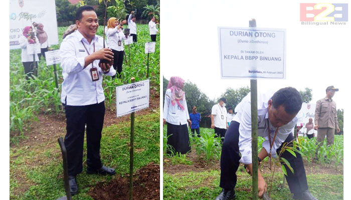 BBPP Kementan di Kalsel Dukung OASE KIM Tanam Serentak Pohon Buah