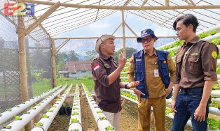 Regenerasi Petani, Alumni Pelatihan Smart Farming Kementan Resonansi di Tasikmalaya