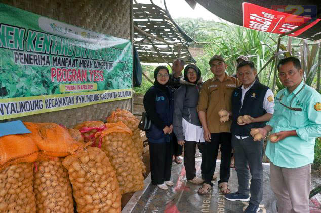 Inspirasi Petani Muda, Milenial Sukabumi Sukses Budidaya Kentang