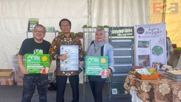 BBPMKP Kementan Usung Microgreens, Solusi Budidaya Lahan Sempit