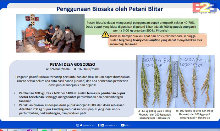 Biosaka Harus Disertai Pupuk untuk Jaga Ketersediaan Hara dalam Tanah