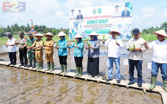 Indonesian Govt Appreciates the Surplus of Rice Production in North Sumatra Province